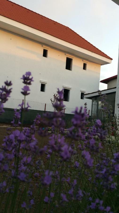 Sunny Border (Adults Only) Vama Veche Exterior foto